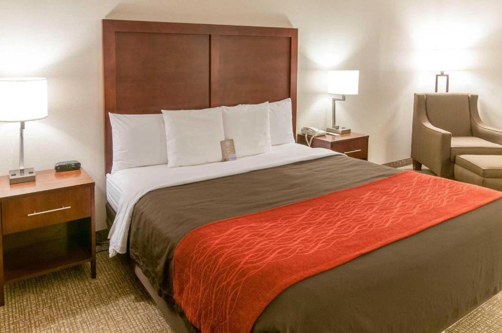 Comfort Quantico 2*