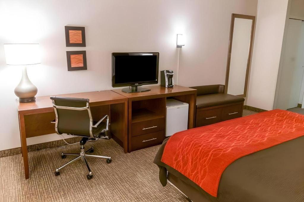Comfort Quantico