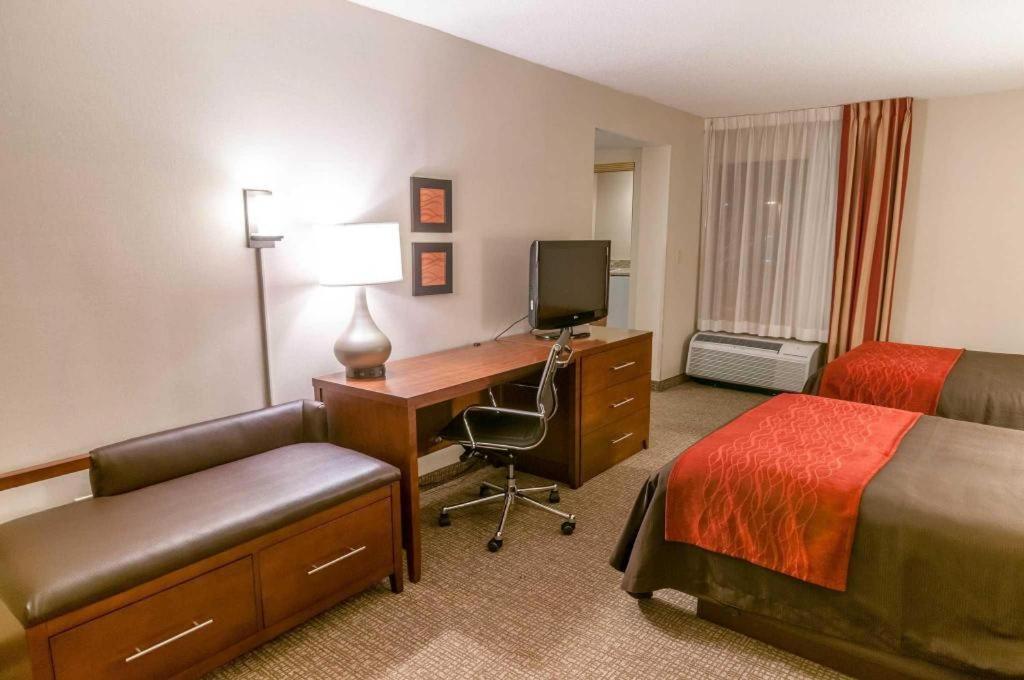 Comfort Quantico 2*