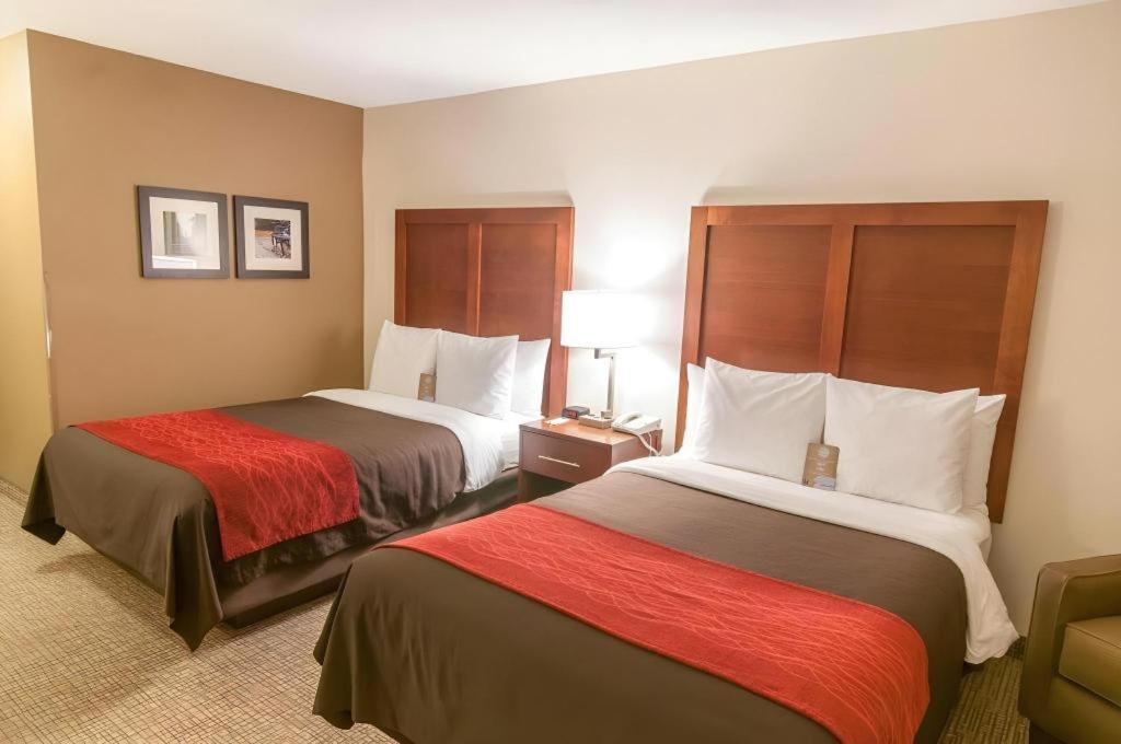 Comfort Quantico Hotel