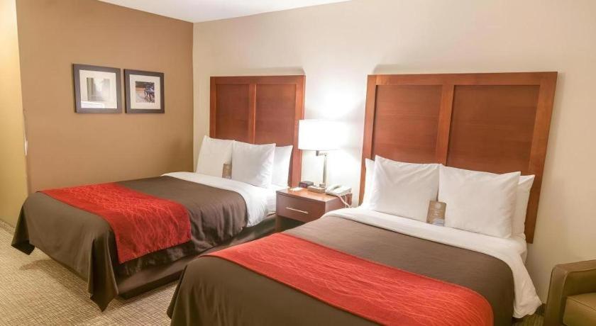 Hotel Comfort Quantico