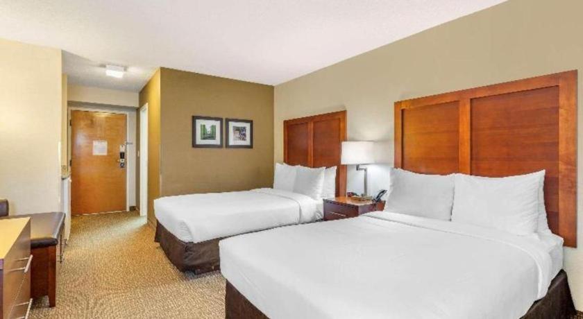 Comfort Quantico 2* Stafford
