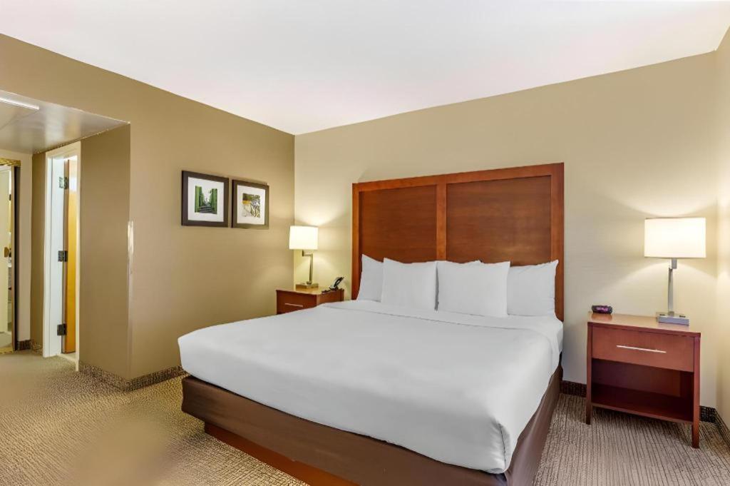 Comfort Quantico Stafford