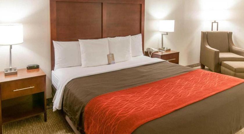 Comfort Quantico Stafford