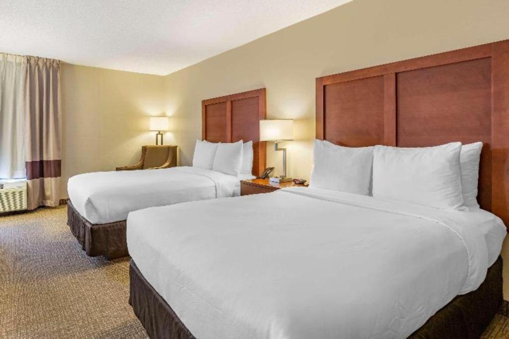 Comfort Quantico Hotel Stafford