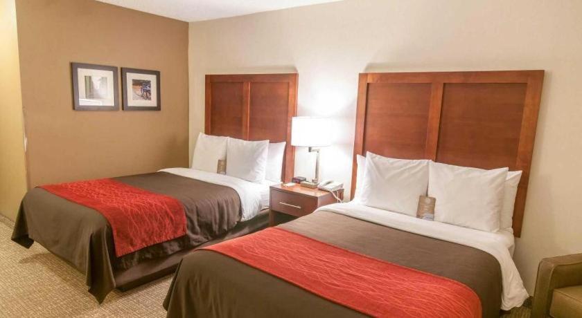 Comfort Quantico 2*